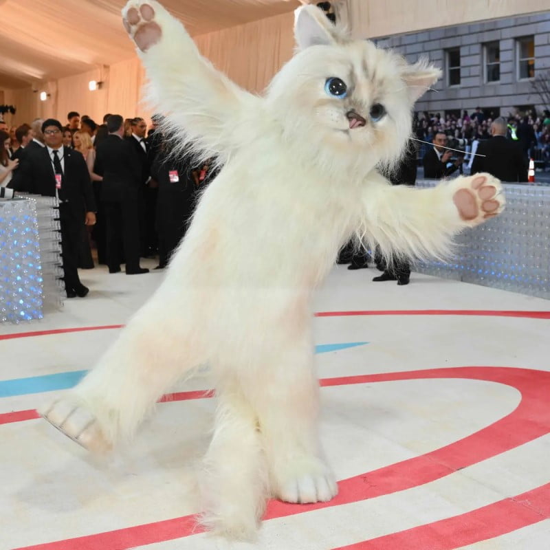 Kostum Badut Kucing Imut Dengan Bahan Berkualitas