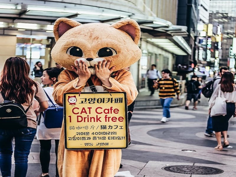 Sedang Mencari Baju Badut Murah? Surya Maskot Adalah Jawabannya